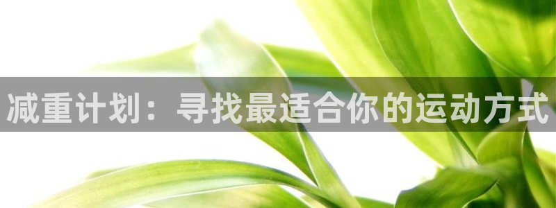 杏悦23平台注册
