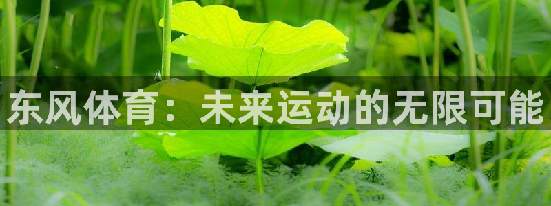 杏悦2注册