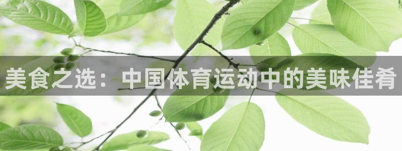 成都杏悦2电子有限公司