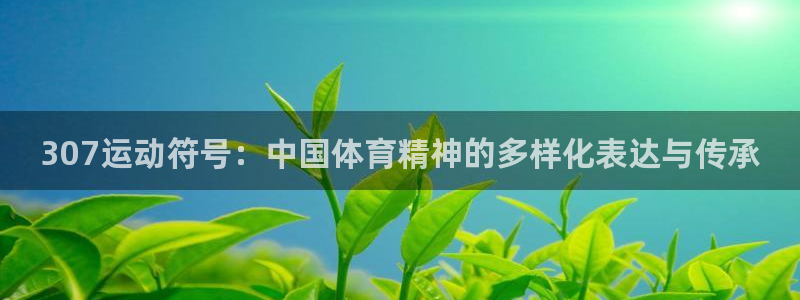杏悦2平台总代理