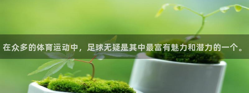 杏悦2凯捷注册