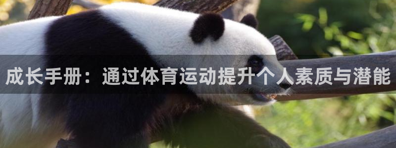 杏悦2平台注册开户