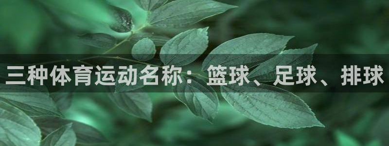 杏悦22登录入口