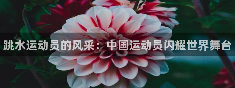 杏悦2代理注册