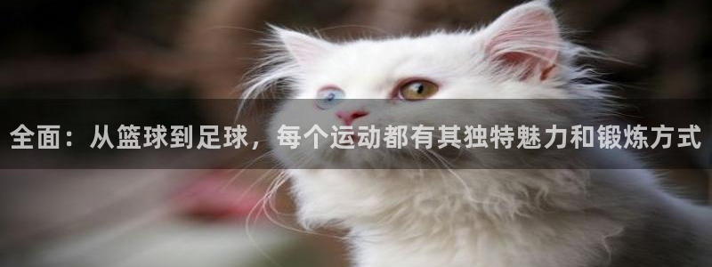 杏悦2体育f开户