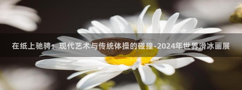 杏悦2主管球27337