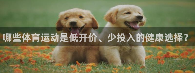 杏悦2体育和杏耀是哪个公司的