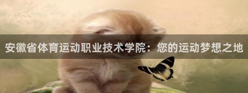 杏悦22官网