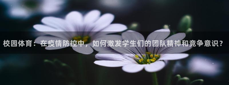 杏悦2主管球27337