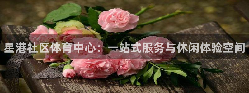 杏悦2凯捷开号链接