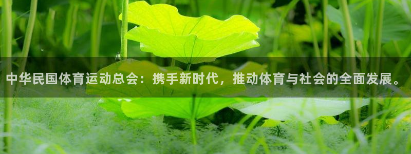 杏悦2体育官网入口登录