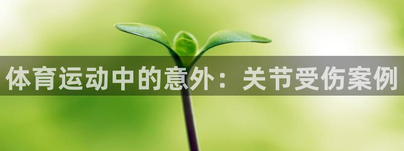 杏悦24平台注册