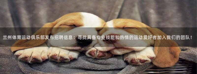 杏悦2的官网