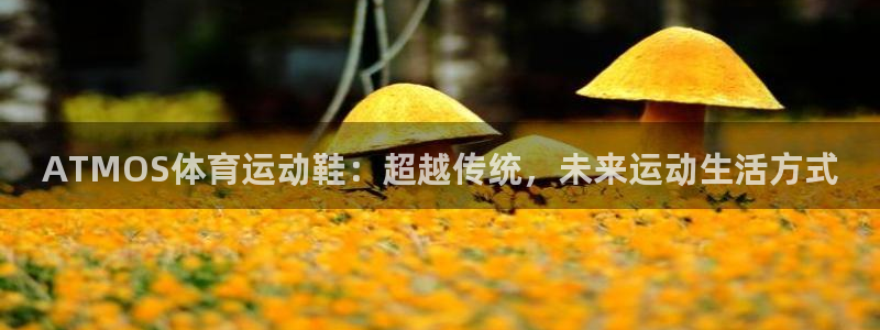 杏悦24官网