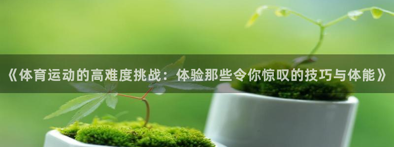 杏悦2集团官网