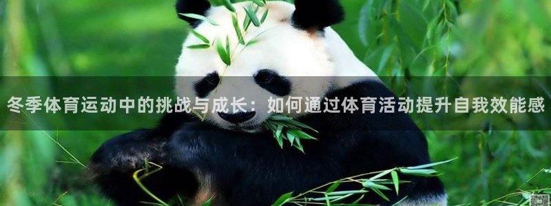 杏悦24