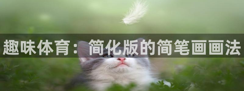 杏悦2股份