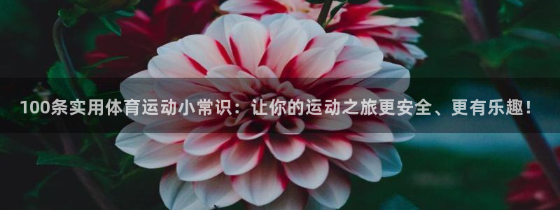 杏悦2的官网
