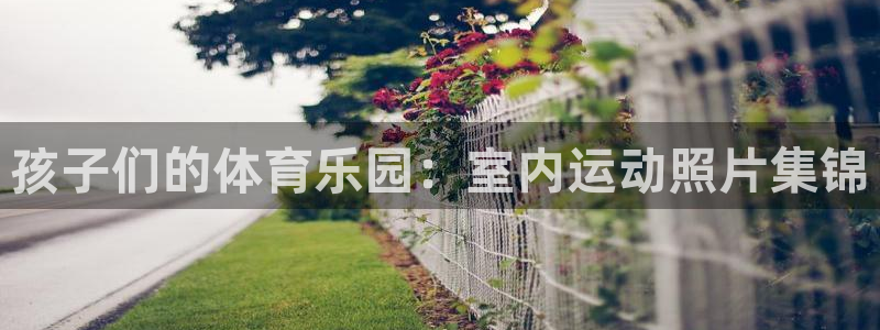 杏悦25招商