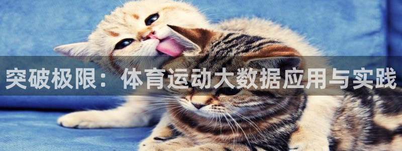杏悦2体育论坛